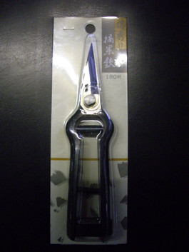 Imgp0396