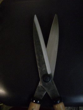 Imgp0540